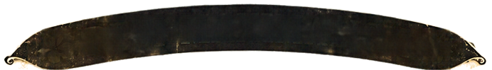 Desi Maximalism Banner